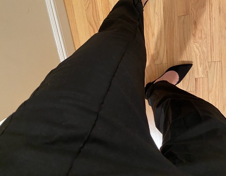 ba&sh Elroy Seam-Front Pants in Black photo review