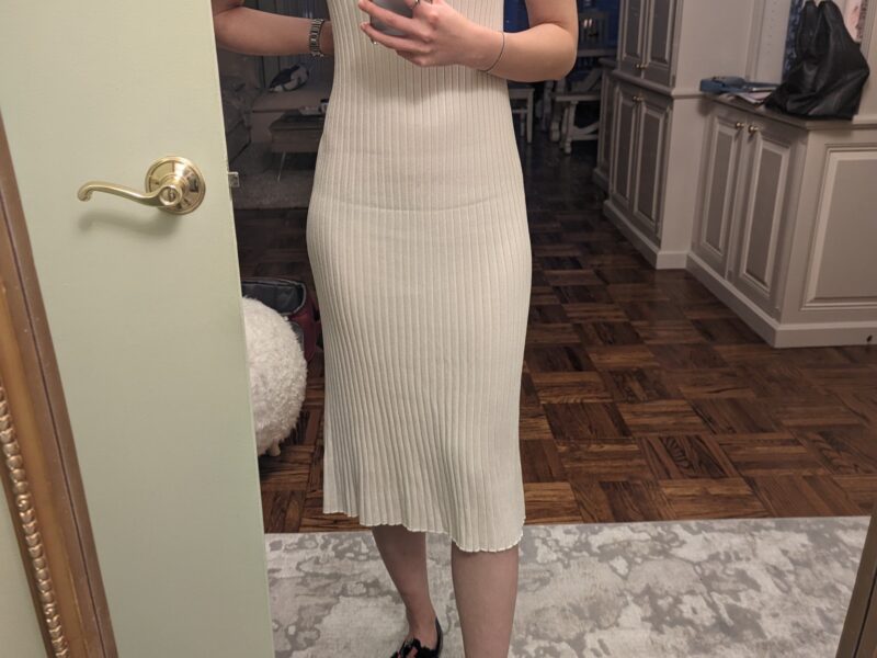 MM LaFleur Dylan Dress Slinky Knit review