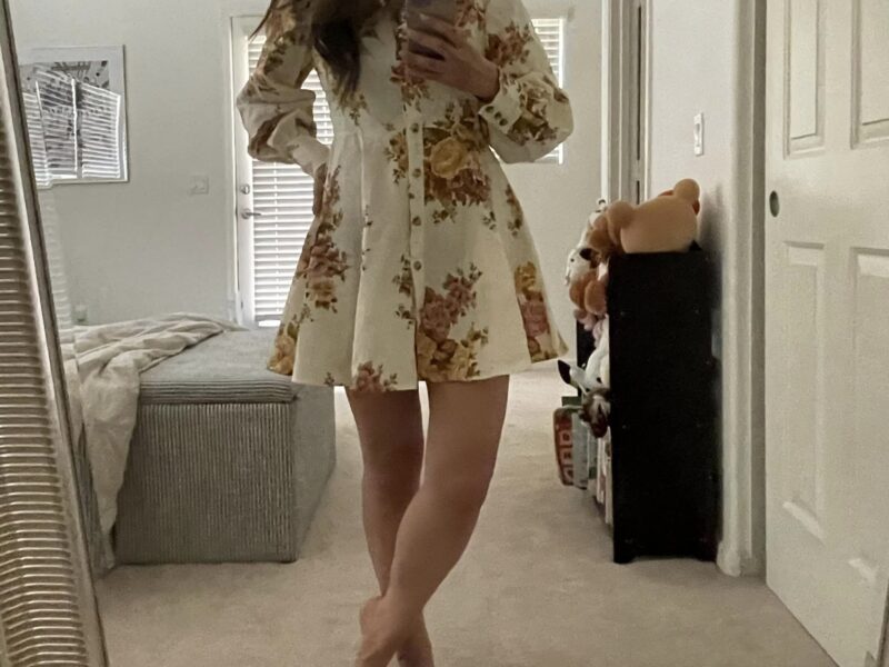 Sezane Caprice Dress